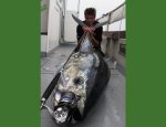Photo ROUTE PECHE