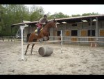 CENTRE EQUESTRE PONEY CLUB LA VARAUDE Izeure