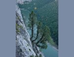 07150 Vallon-Pont-d'Arc