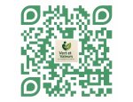 VERT ET VALEURS 54800