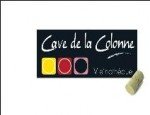 CAVE DE LA COLONNE 85170