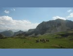CHEVAUCHEE PYRENEENNE LES CHEVAUXDU BENOU 64260