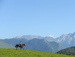 CHEVAUCHEE PYRENEENNE LES CHEVAUXDU BENOU Bielle