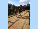 Photo ESPACE EQUESTRE DU BEC HELLOUIN