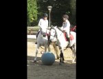 PONEY CLUB DE VELIZY 78140