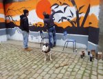 VIVRE LA RUE 29200