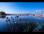 CAMPING LES RIVES DE VILAINE Férel