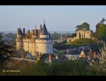 Photo CHATEAU DE LANGEAIS