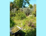 STE D'HORTICULTURE ET D'ARBORICULTURE DES BOUC Marseille 08