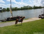 TOURAINE CHEVAL La Chapelle-aux-Naux