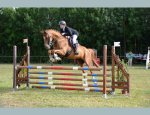 Photo CENTRE EQUESTRE EQUI-FEEL