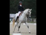 CENTRE EQUESTRE EQUI-FEEL Vouvant