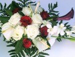 FLEURS A FLEURS 83560