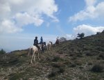 Photo SOUBRANA CHEVAL MONTAGNE