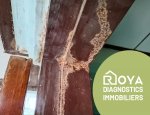 ROYA DIAGNOSTICS IMMOBILIERS Breil-sur-Roya