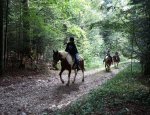 Photo RELAIS EQUESTRE LES SEIGNES