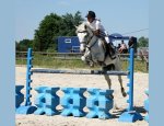 BESSY EQUITATION 42230