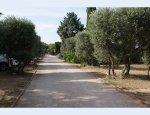 Photo CAMPING LES OLIVIERS