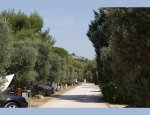Photo CAMPING LES OLIVIERS