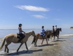 Photo CENTRE EQUESTRE DE L'ESTUAIRE