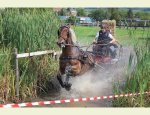 Photo FERME EQUESTRE LA BRIDE CHAMPETRE