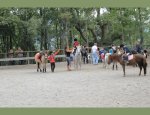 Photo ASSOC DE LOISIRS EQUESTRES LA CARRIOLE
