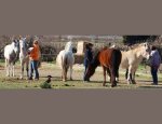Photo CENTRE EQUESTRE LE PARC