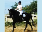 CREISSAN EQUITATION Creissan