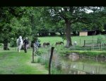 Photo DOMAINE D'ART EQUESTRE