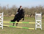 Photo CENTRE EQUESTRE LA BALLARADE