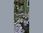 SARL CAMPING L'OLIVERAIE Laurens