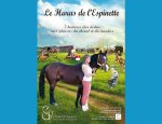 Photo HARAS DE L'ESPINETTE