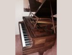 ACCORDEUR DE PIANOS 91270