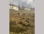 Photo ANTHESE PAYSAGE
