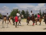 CENTRE EQUESTRE DE VIENNE LE COUZON 38200