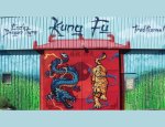 ECOLE DRAGON TIGRE KUNG FU TAÏCHI QI GONG TRADITIONNEL 17000
