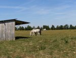 Photo LA FERME DU GRAND EPINAY