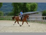 Photo ECOLE DE DRESSAGE DU GRESIVAUDAN