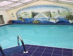 AAR PISCINE   * RENOVATION TOUS TYPES DE PISCINE * 30000