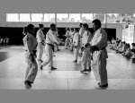 Photo JUDO CLUB D'ALBRET