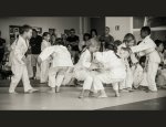 Photo JUDO CLUB D'ALBRET