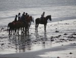 KERGUELEN EQUITATION Larmor-Plage