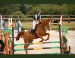 KERGUELEN EQUITATION 56260