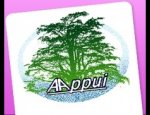 AAPPUI PARTENAIRE AMAPA 38240