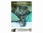 EN-CAS D'ABSENCE GARDE D'ANIMAUX 69001