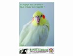 EN-CAS D'ABSENCE GARDE D'ANIMAUX 69001