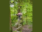 PARCOURS AVENTURE® 77700