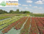 Photo BONTEMPS PEPINIERES