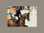 PONEY CLUB DU NANCHET-ECURIE CHARRET 69270