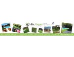 Photo IDEE GAZON-GAZON SYNTHETIQUE-SPORT-JARDIN